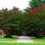 Ang Davis Building